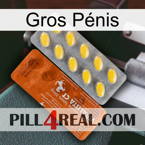 Gros Pénis 42.jpg